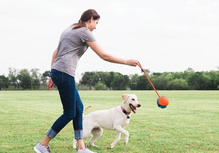 Chuckit! Rope Fetch Ball – Puncture-Proof Interactive Toy with Durable Rope Handle