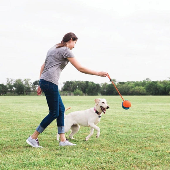 Chuckit! Rope Fetch Ball – Puncture-Proof Interactive Toy with Durable Rope Handle