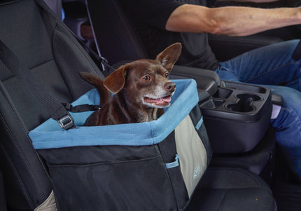 Kurgo Rover Booster Seat – Elevated Travel Car Seat with Secure Harness Attachment