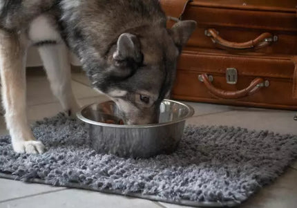 Royal Dry Spill Mat 61x45cm – Antibacterial Microfiber, Multifunctional Absorbent Design