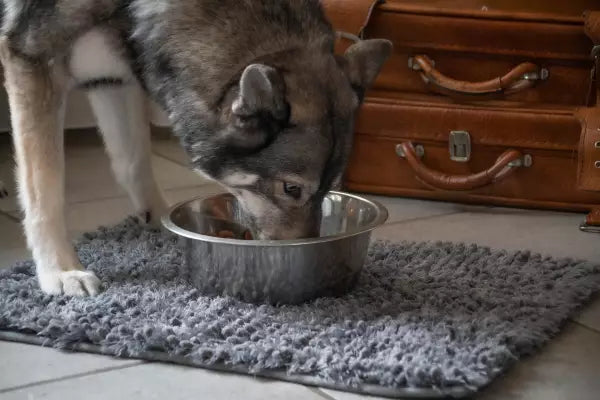 Royal Dry Spill Mat 61x45cm – Antibacterial Microfiber, Multifunctional Absorbent Design