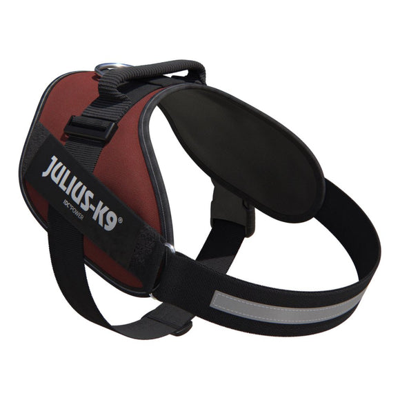 Julius-K9 IDC Powerharness Bordeaux-Brown – Premium Adjustable Dog Harness, Burgundy, Size 3