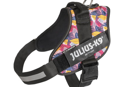 Julius-K9 IDC Powerharness Leaf2 – Premium Patterned Harness, Durable and Comfortable Design