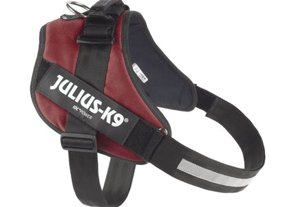 Julius-K9 IDC Powerharness Bordeaux-Brown – Premium Adjustable Dog Harness, Burgundy, Size 3