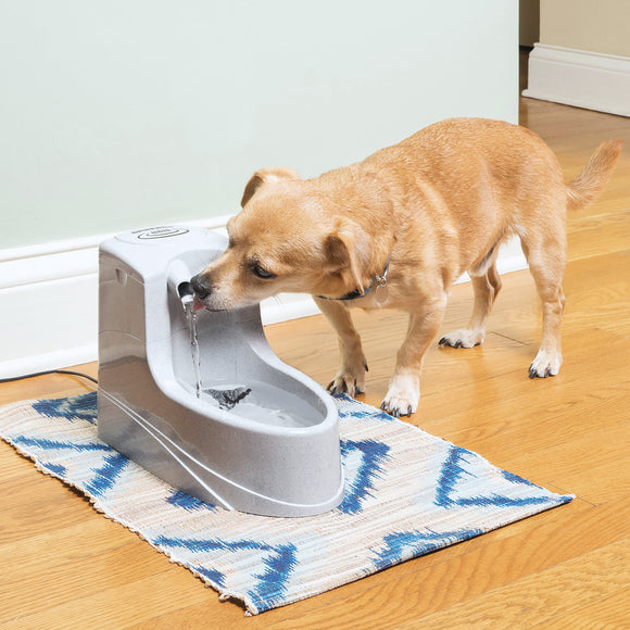 PetSafe Drinkwell Mini Fountain 1.2L – Compact Water Dispenser with Quiet Pump and Filter