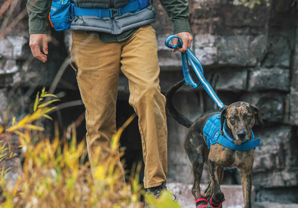 Kurgo RSG Stub Leash – Adjustable Blue Dog Leash, Durable 2.5x144cm Design