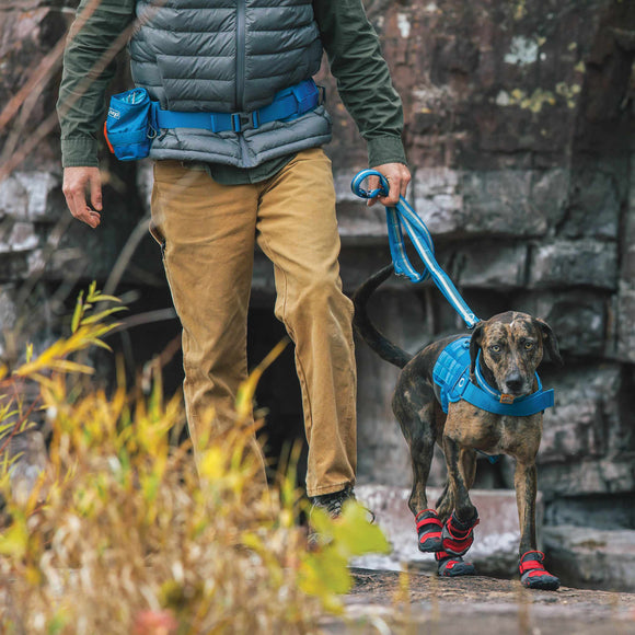 Kurgo RSG Stub Leash – Adjustable Blue Dog Leash, Durable 2.5x144cm Design