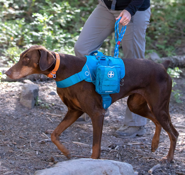 Kurgo RSG First Aid Kit – Compact Canine Medical Set, Harness-Attachable, Essential Supplies