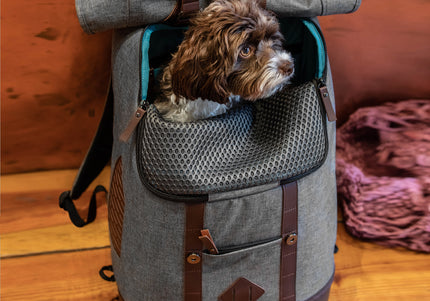 Kurgo Rucksack Pet Carrier Backpack – Gray, Ergonomic Design with Ventilated Panels