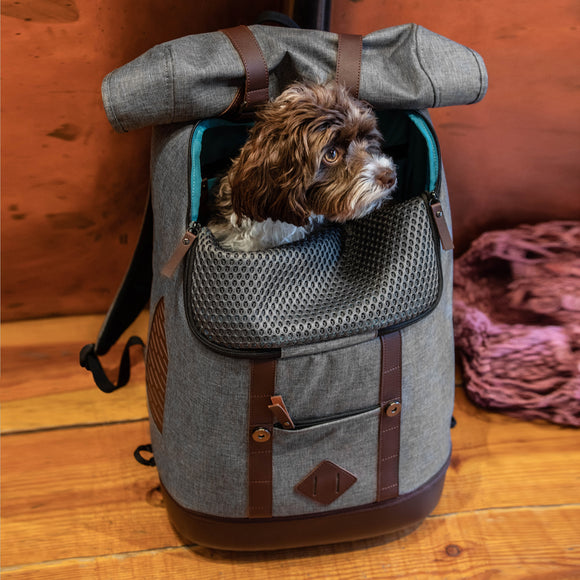 Kurgo Rucksack Pet Carrier Backpack – Gray, Ergonomic Design with Ventilated Panels