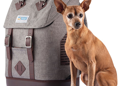 Kurgo Rucksack Pet Carrier Backpack – Gray, Ergonomic Design with Ventilated Panels