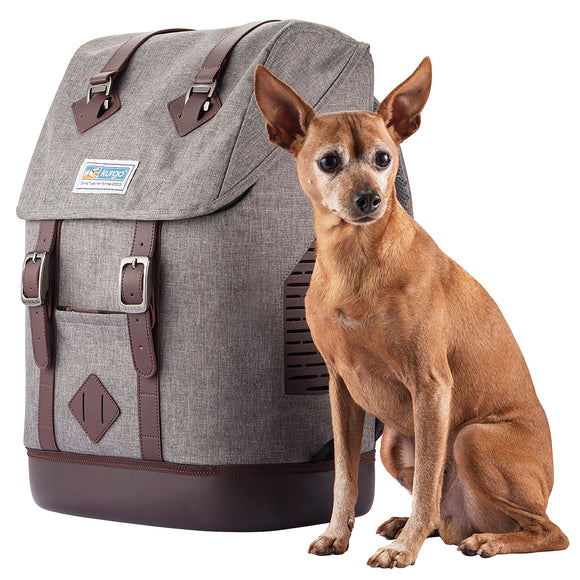 Kurgo Rucksack Pet Carrier Backpack – Gray, Ergonomic Design with Ventilated Panels