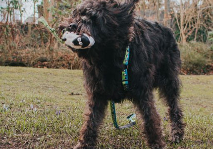 Max&Molly Woody The Sheep Plush Toy – Multifunctional 30cm Squeaker Sheep, Durable Design