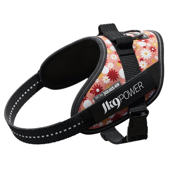 Julius-K9 IDC Powerharness Pink Flowers – Top Quality Floral Pattern Harness, Size 2