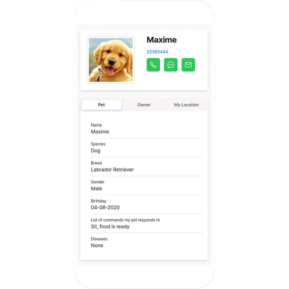 Max&Molly Gotcha! Lost & Found Collar Tag – Smart Pet ID with Owner Contact Feature