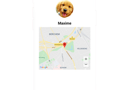 Max&Molly Gotcha! Lost & Found Collar Tag – Smart Pet ID with Owner Contact Feature