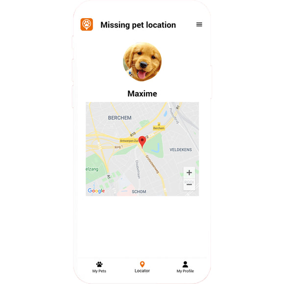 Max&Molly Gotcha! Lost & Found Collar Tag – Smart Pet ID with Owner Contact Feature