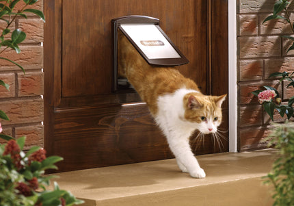 PetSafe Staywell Original 2-Way Pet Door – Classic Brown Small Size, Durable Design