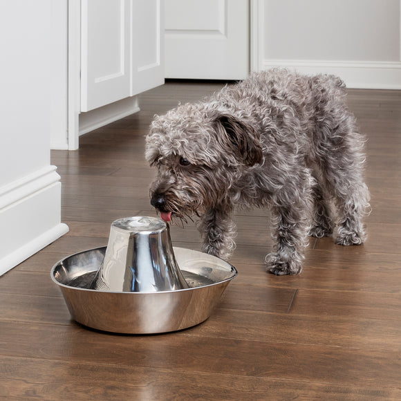 PetSafe Seaside Stainless Steel Fountain – 1.8L Durable Water Dispenser with Hygienic Design