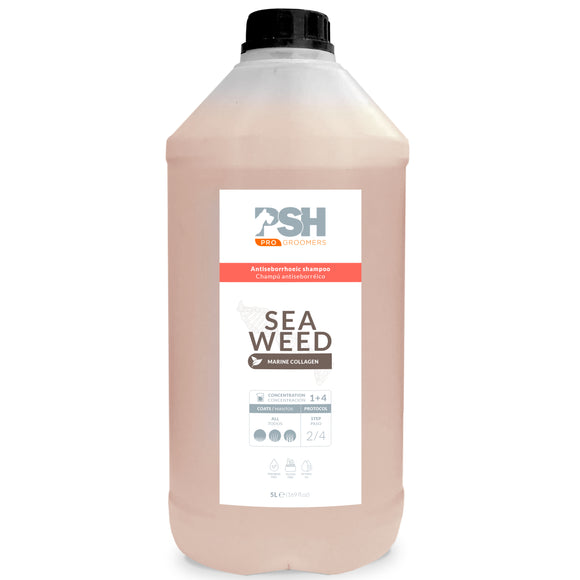 PSH Pro Seaweed Shampoo – Concentrated Anti-Seborrheic Formula with Sea Algae, 5L