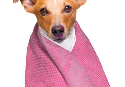 Doogy Cooling Towel 66x43cm – Soft Blue Quick-Chill Fabric, Reusable and Lightweight