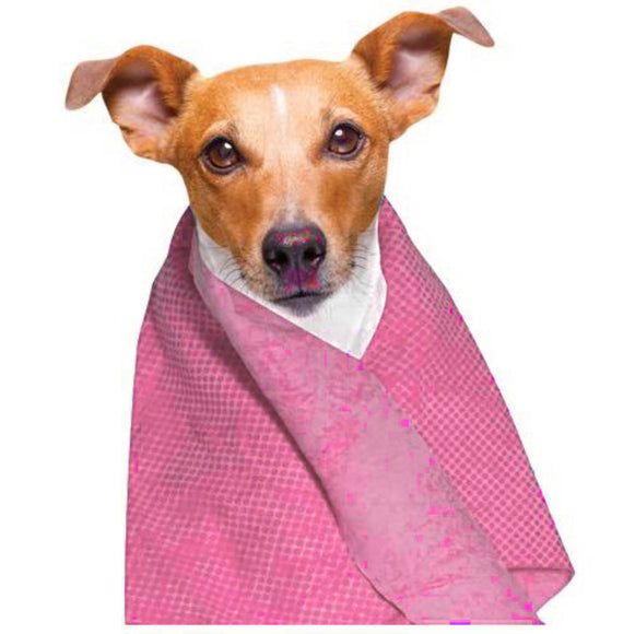 Doogy Cooling Towel 66x43cm – Soft Blue Quick-Chill Fabric, Reusable and Lightweight