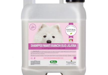 Whitening dog shampoo with jojoba oil and ginseng – 10L