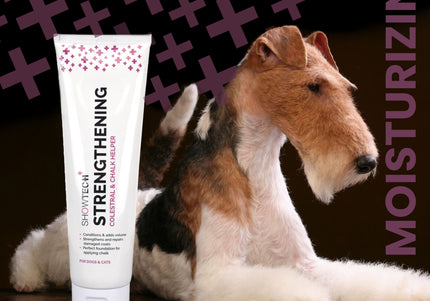 Show Tech+ Strengthening Colestral & Chalk Helper 300ml – Conditioning Primer, Enhances Chalk Grip and Coat Strength