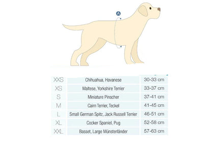 Max&Molly Air Vest Matrix 2.0 Dog Harness – Pressure-Free, QR ID, Rose Pink, Small