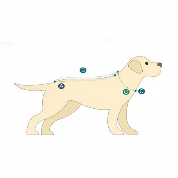 Max&Molly FC Barcelona Dog Bathrobe – Soft Absorbent Towel Robe with Club Motif, Large Size