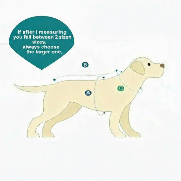 Max&Molly FC Barcelona Dog Bathrobe – Soft Absorbent Towel Robe with Club Motif, Large Size