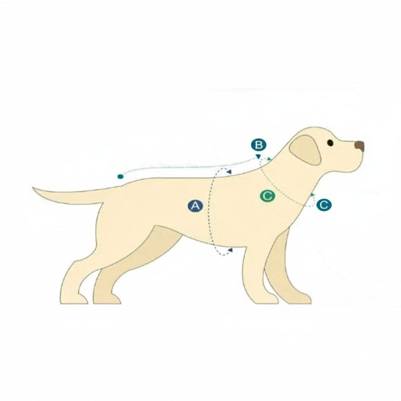 Max&Molly FC Barcelona Dog Bathrobe – Soft Absorbent Towel Robe with Club Motif, Large Size