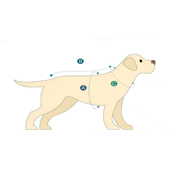 Max&Molly Tropical Pattern Dog Bathrobe – Soft, Absorbent Microfiber, Size Small