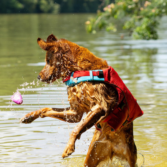 Kurgo Skipping Stones Floating Water Toys – Durable Fetch Set, 3 Pieces