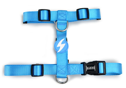 Dashi Solid Back Harness Sky Blue – Adjustable Guard Harness, Medium Size, Durable Design