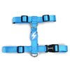 Blue / XS