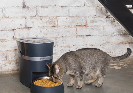 PetSafe Smart Feed Automatic Feeder – Wi-Fi Enabled Food Dispenser with App Control