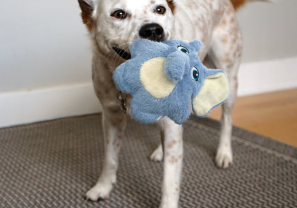 KONG Snuzzles Kiddos Bunny Small – Plush Rabbit Toy with Large Squeaker, Soft and Durable