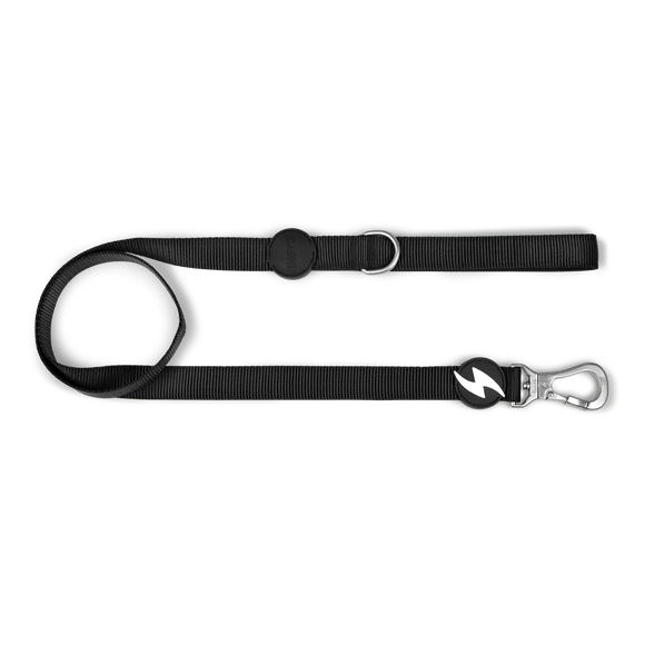 Dashi Solid Leash Black 120cm – Durable Nylon City Dog Leash, Small Size