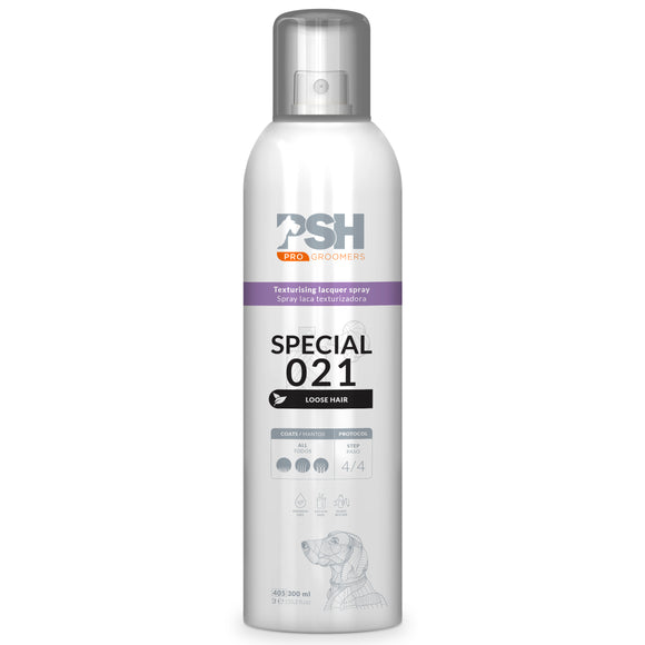 PSH Pro Special Fix Spray 300ml – Volumizing Coat Varnish with Texture-Enhancing Formula