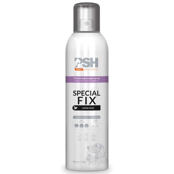 PSH Pro Special Fix Spray 300ml – Volumizing Coat Varnish with Texture-Enhancing Formula