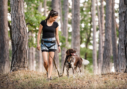 Julius K-9 Speed Belt – Hands-Free Running Hip Belt, Adjustable, Red, Lightweight Design