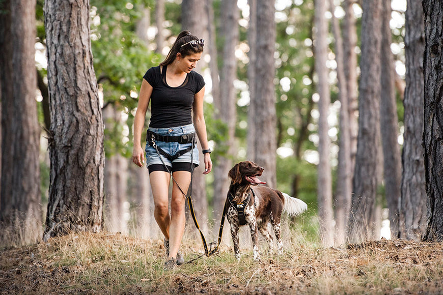 Julius K-9 Speed Belt – Hands-Free Running Hip Belt, Adjustable, Red, Lightweight Design