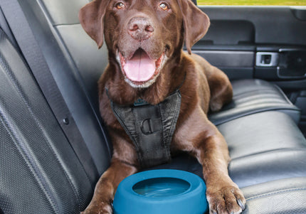 Kurgo Splash Free Wander Water Bowl 710ml – Anti-Spill Design, Durable Red Plastic