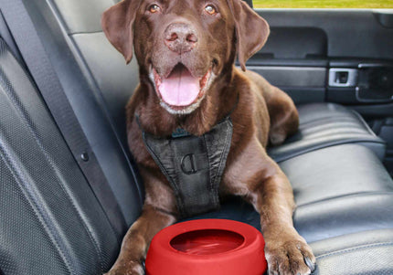 Kurgo Splash Free Wander Water Bowl 710ml – Anti-Spill Design, Durable Red Plastic