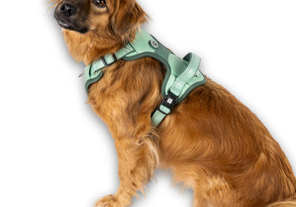 Max&Molly Sport Harness Matrix 2.0 Jade – Adjustable Dog Harness with QR ID, Mint, Large