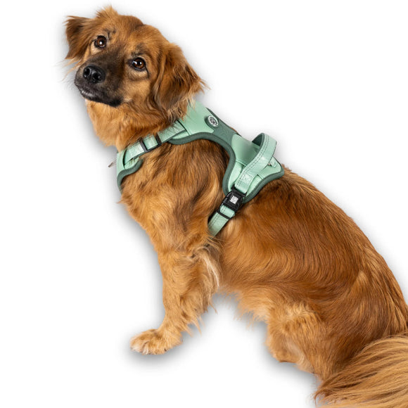 Max&Molly Sport Harness Matrix 2.0 Jade – Adjustable Dog Harness with QR ID, Mint, Large