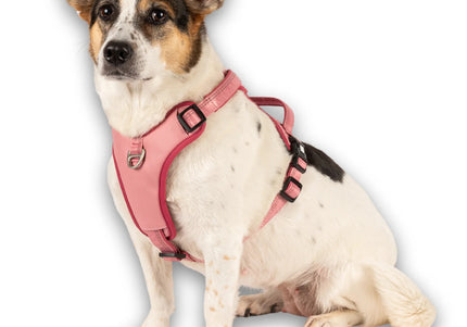 Max&Molly Matrix 2.0 Sport Harness – Adjustable QR ID Dog Harness, Pastel Pink, Small