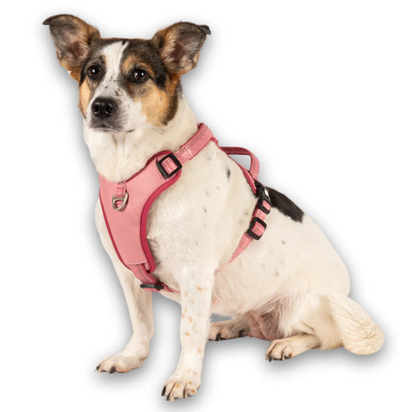 Max&Molly Matrix 2.0 Sport Harness – Adjustable QR ID Dog Harness, Pastel Pink, Small