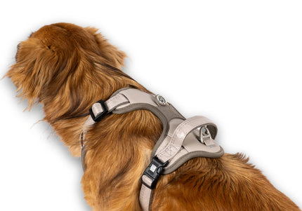 Max&Molly Matrix 2.0 Sport Harness – Adjustable Sand Beige with QR ID, Medium Size